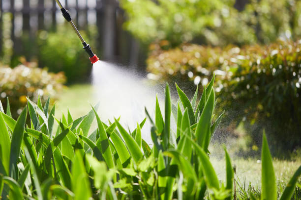 24/7 Emergency Termite Control experts in Pepper Pike, OH